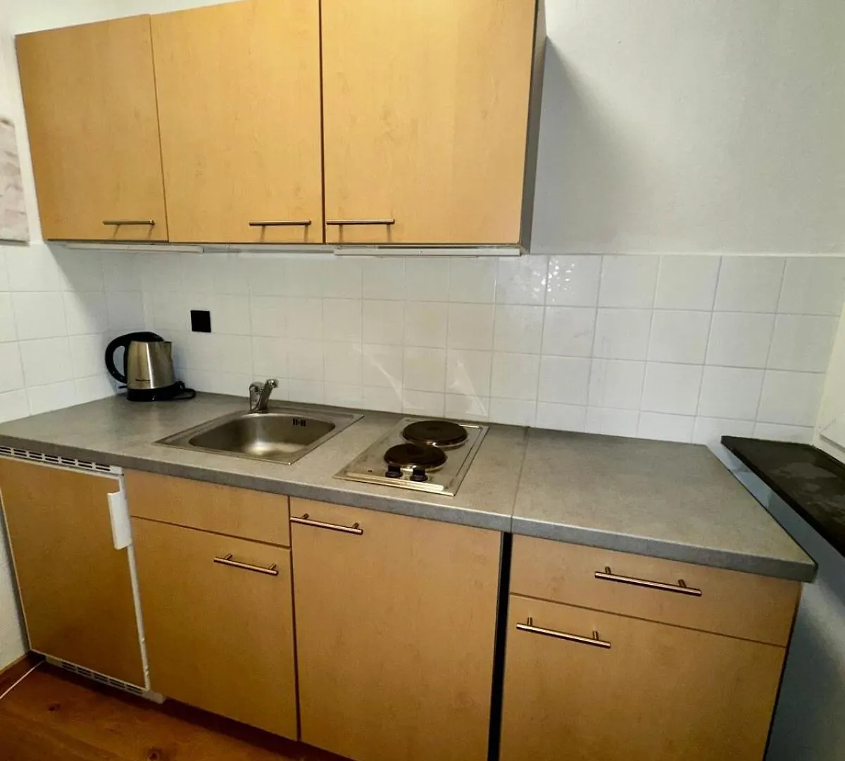 Apartament Ski & Relax Skicircus Saalbach